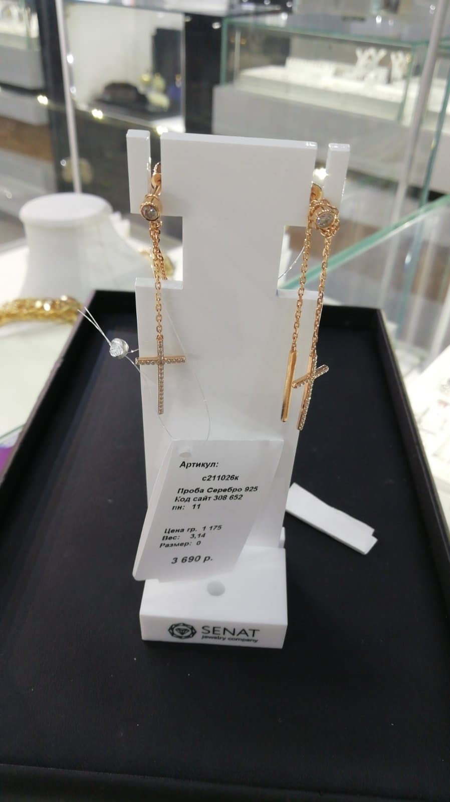 Picture of the author