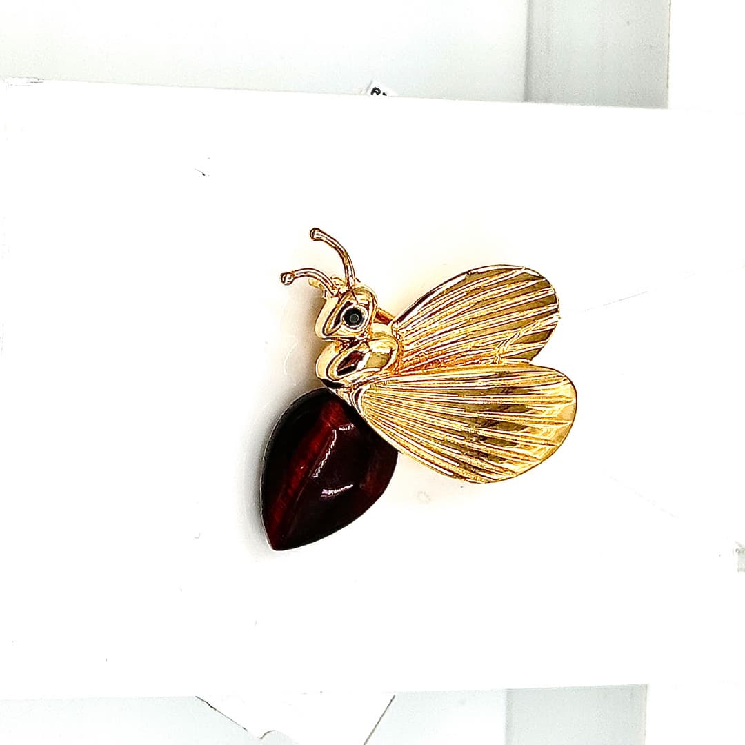 Picture of the author