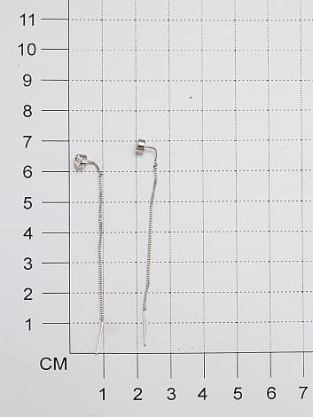 Picture of the author