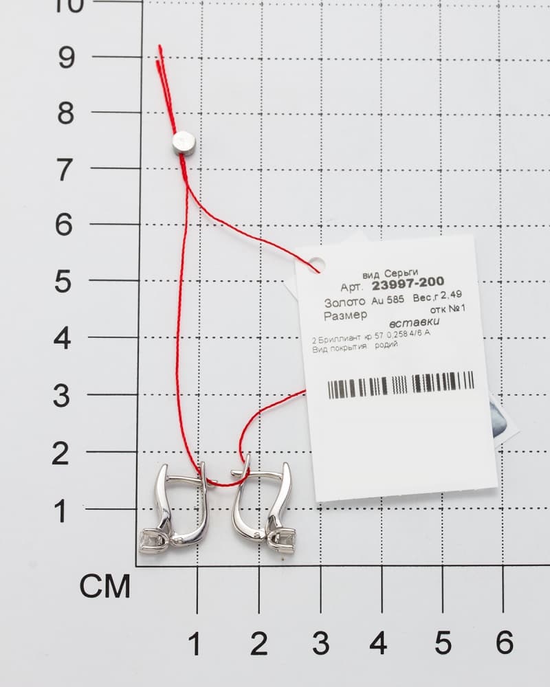 Picture of the author