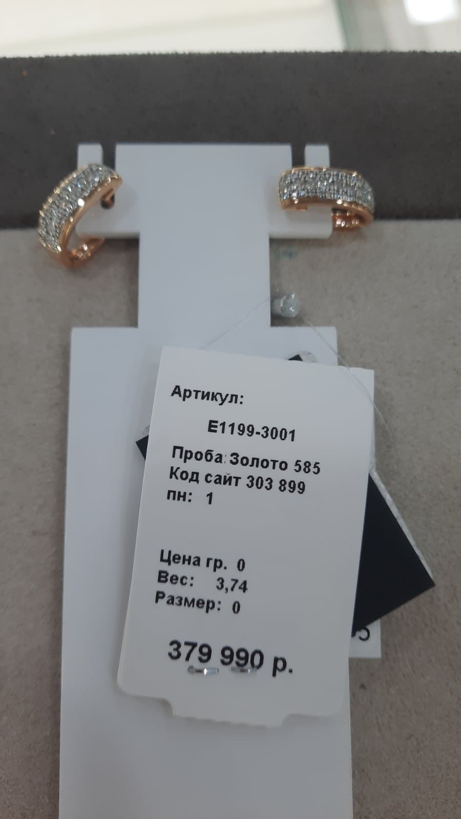 Picture of the author