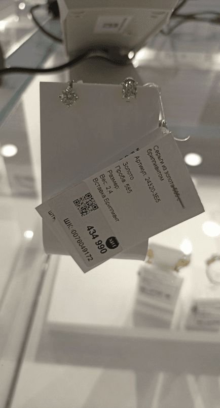 Picture of the author