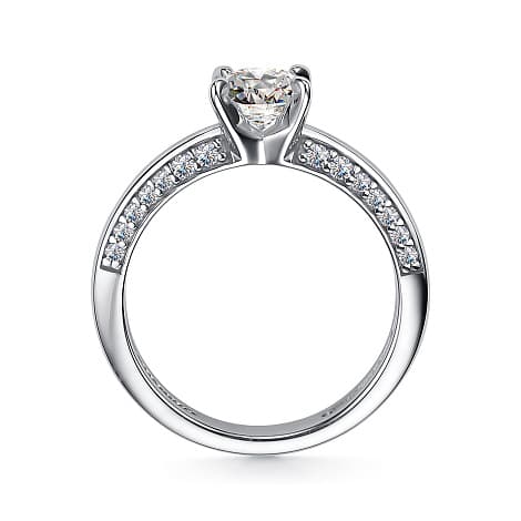 Picture of the author