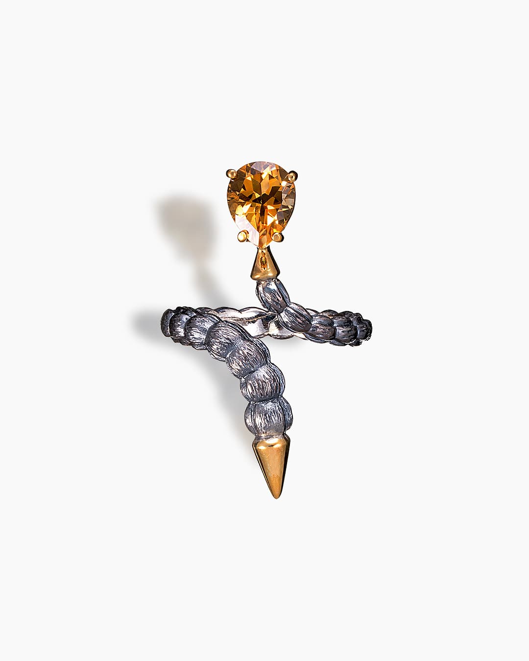 Picture of the author