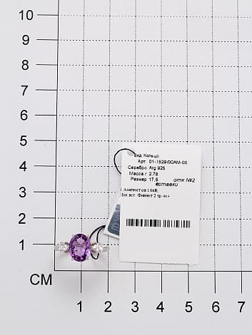 Picture of the author