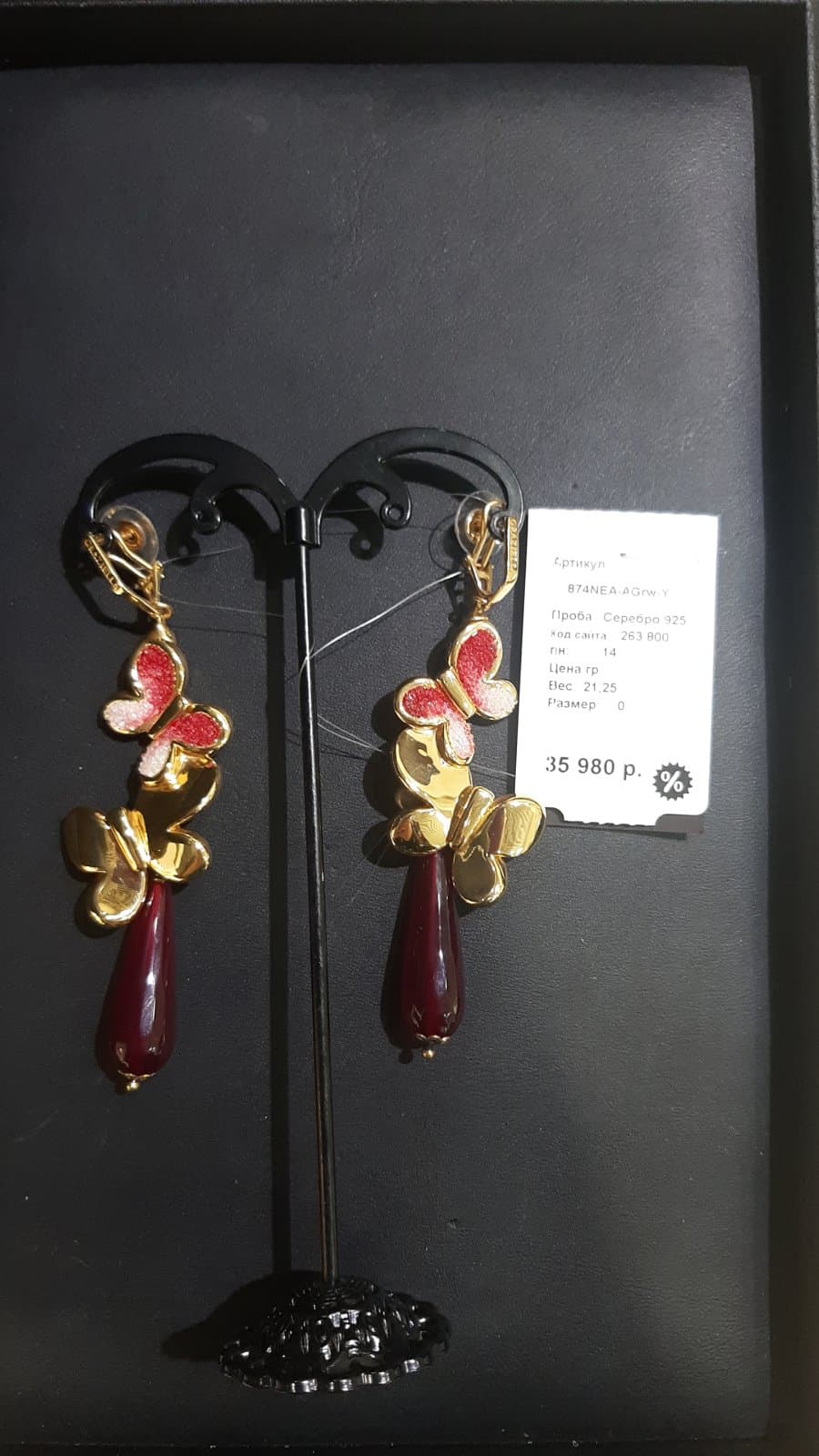 Picture of the author