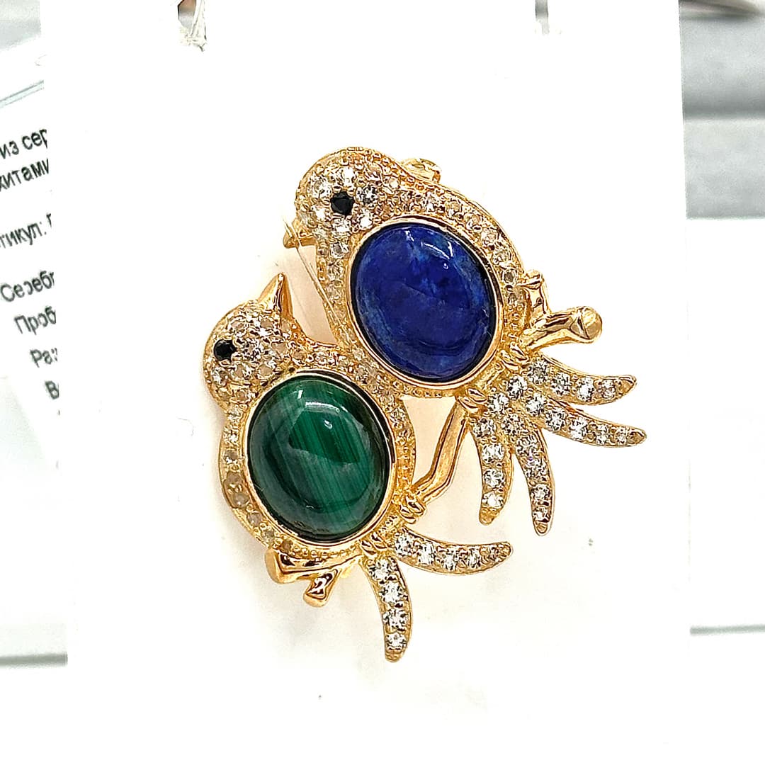 Picture of the author