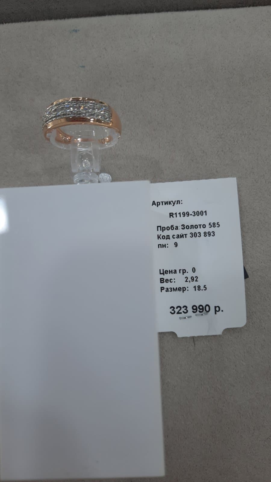 Picture of the author