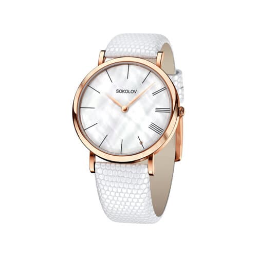 Picture of the author