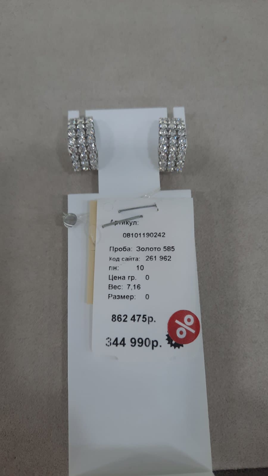 Picture of the author