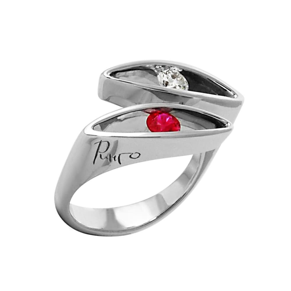 Picture of the author