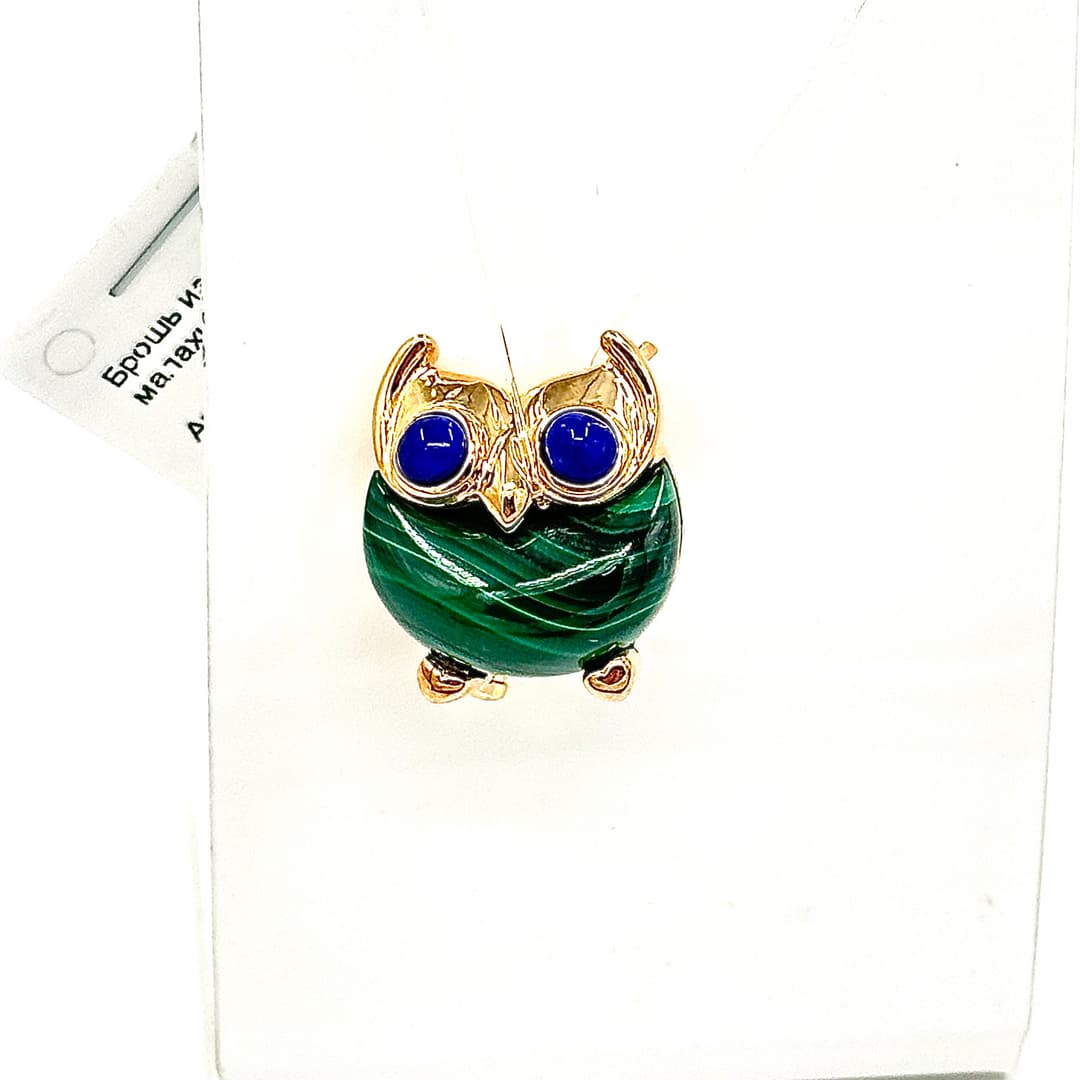 Picture of the author