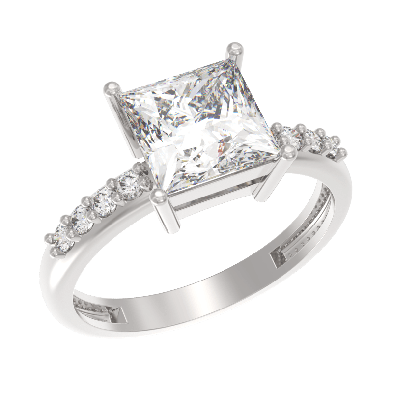 Picture of the author