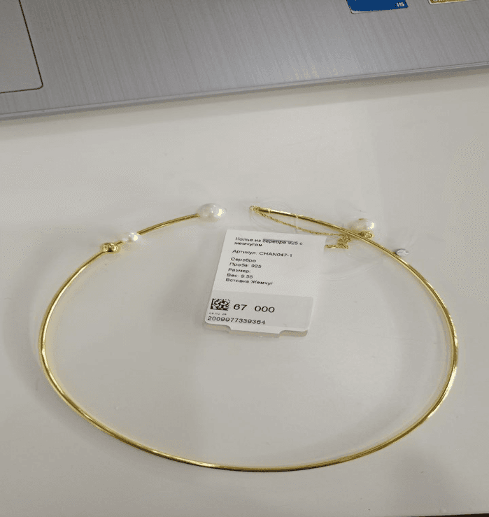 Picture of the author