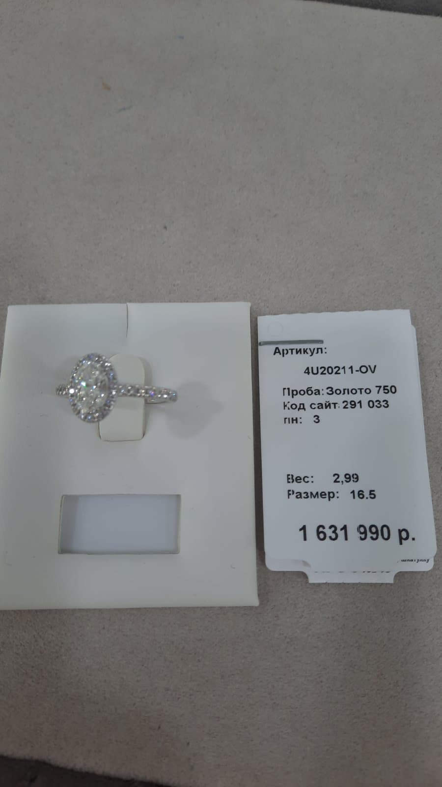 Picture of the author