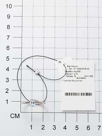 Picture of the author