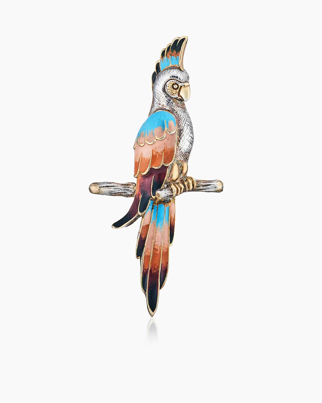 Picture of the author