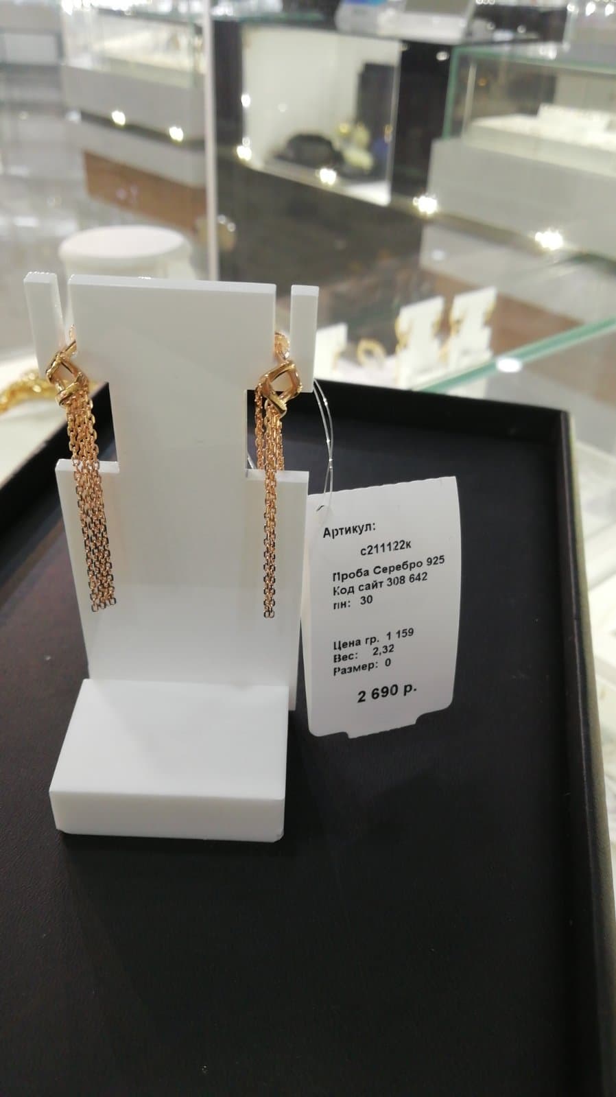 Picture of the author