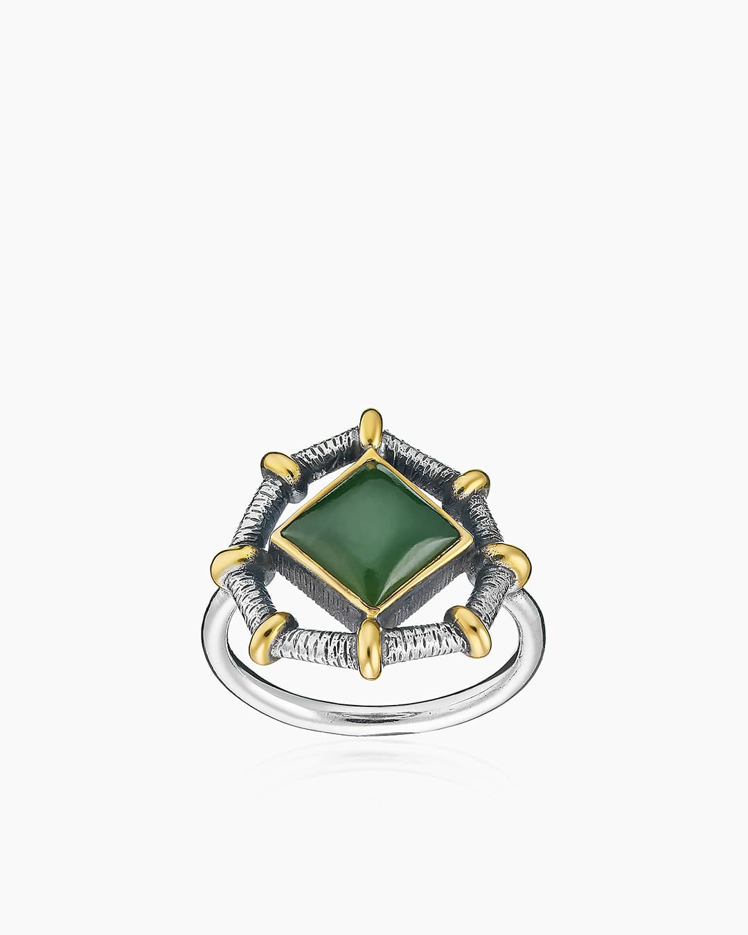 Picture of the author