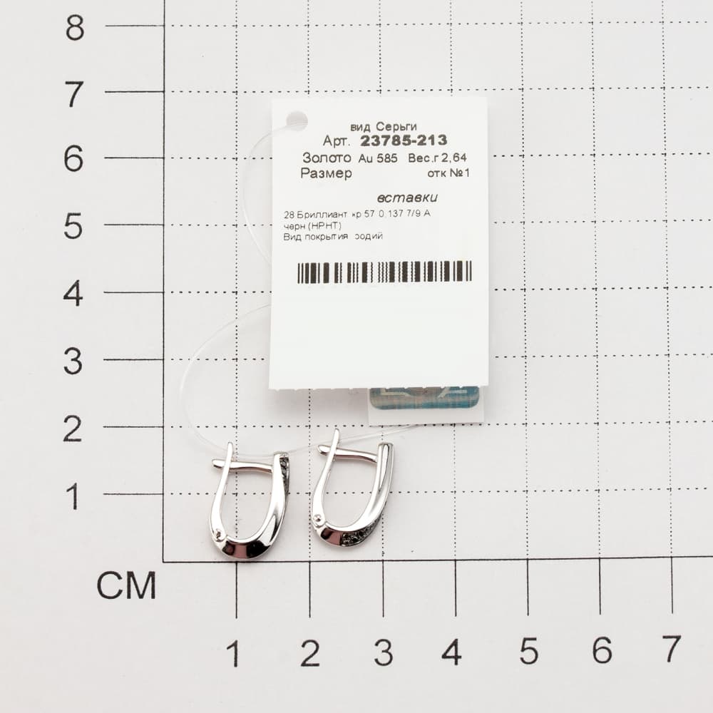 Picture of the author