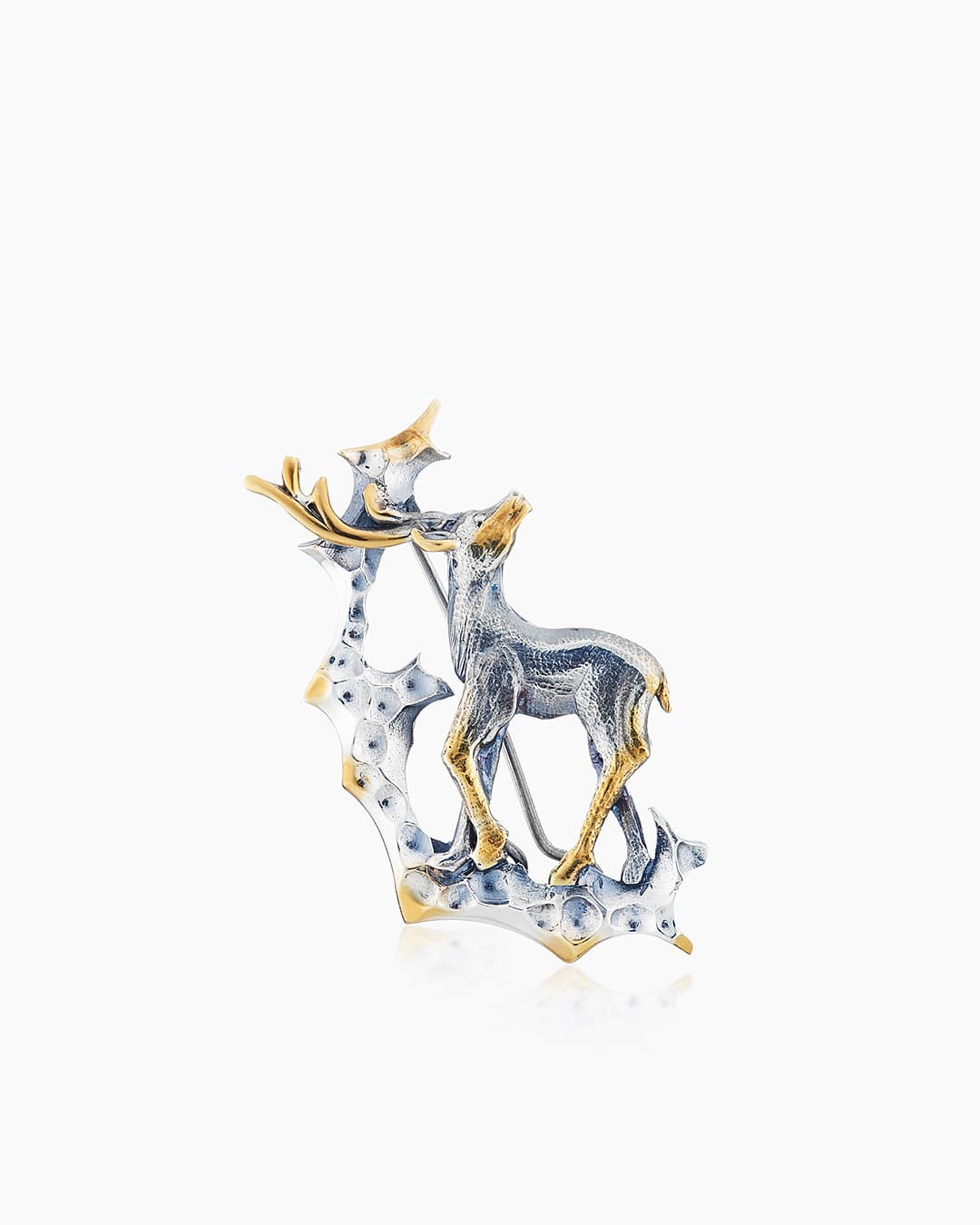 Picture of the author