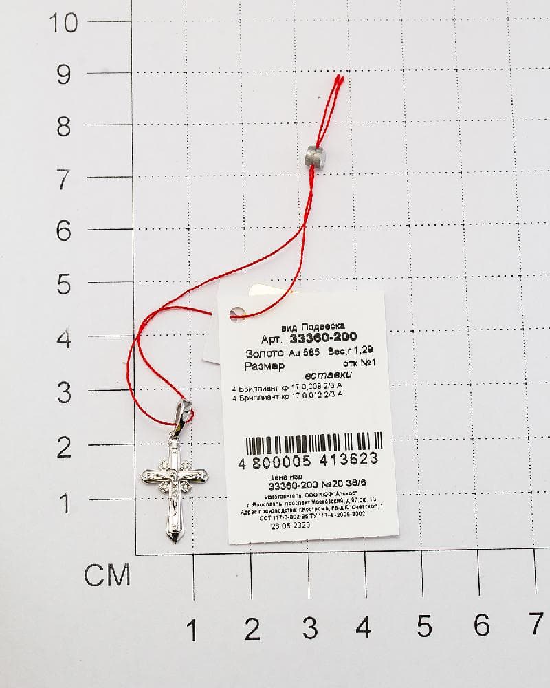 Picture of the author