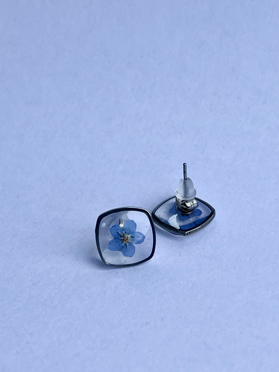 Picture of the author