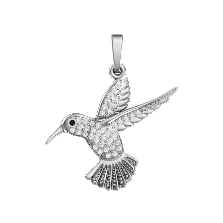 Picture of the author