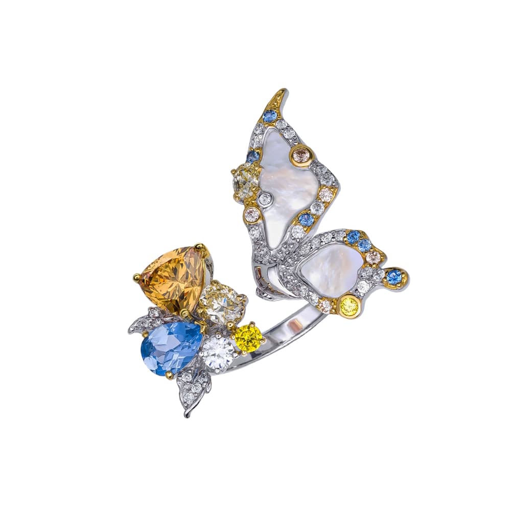 Picture of the author