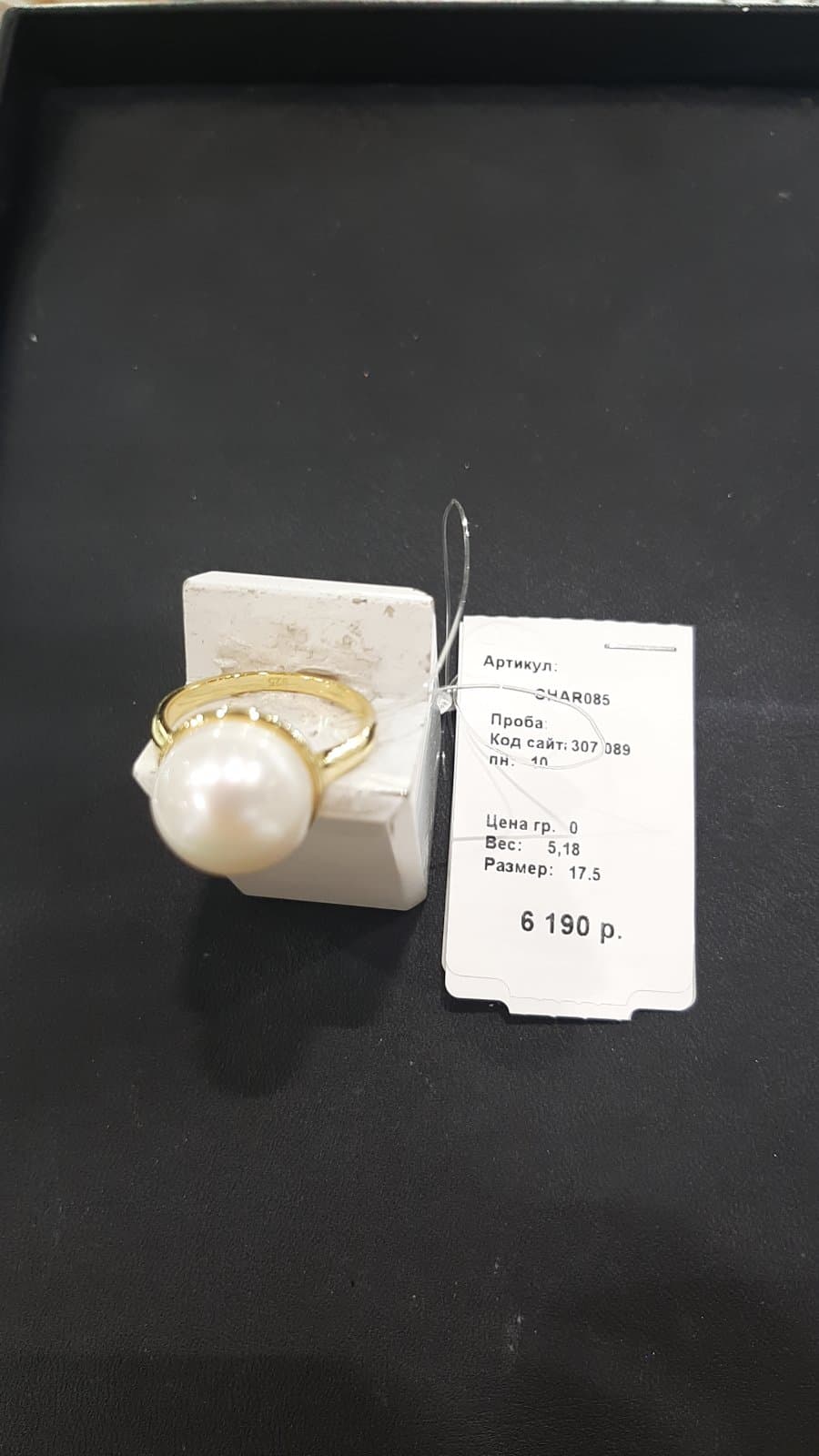 Picture of the author