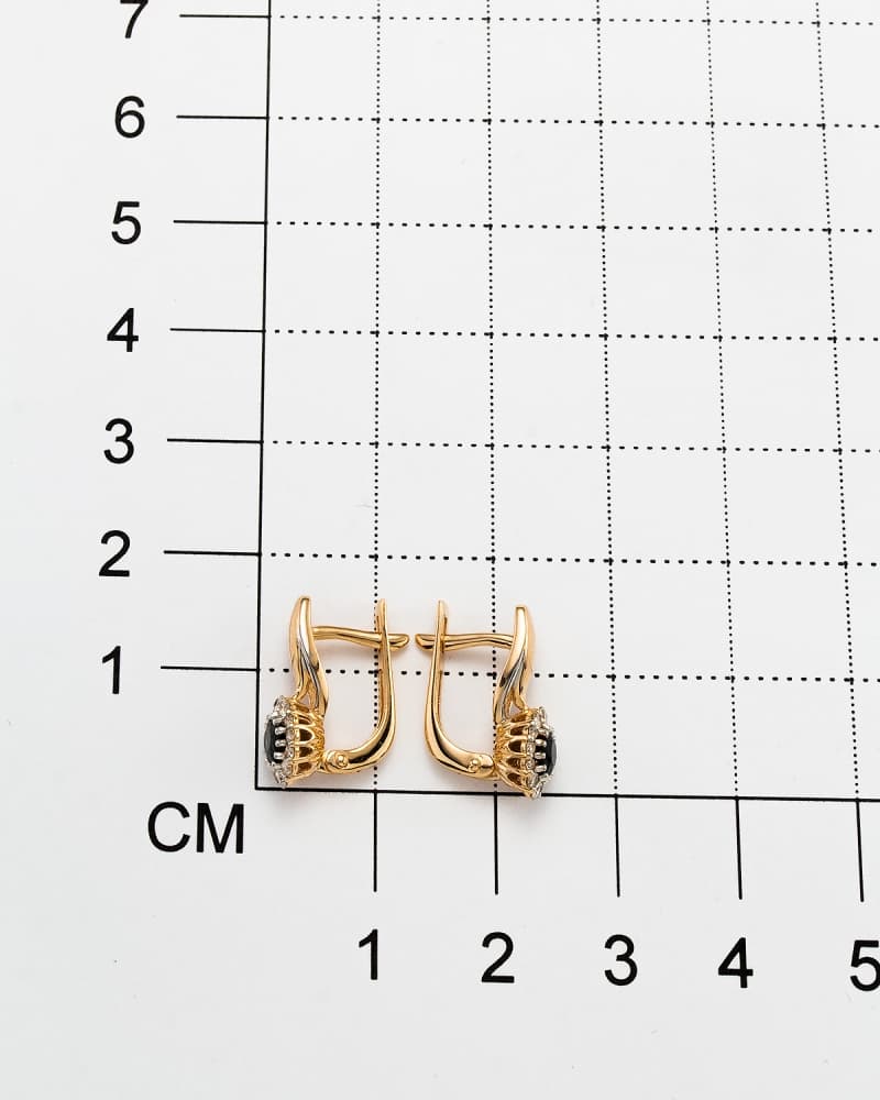 Picture of the author