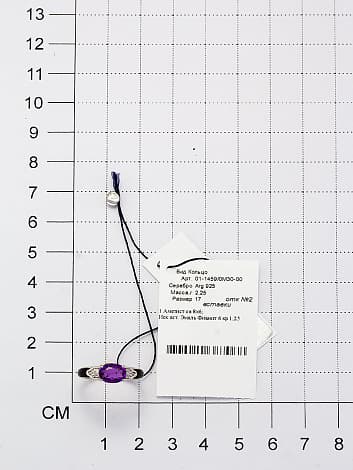 Picture of the author