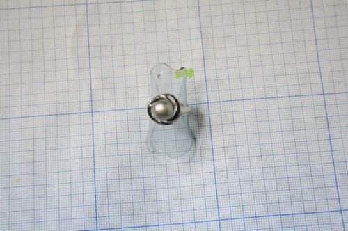 Picture of the author