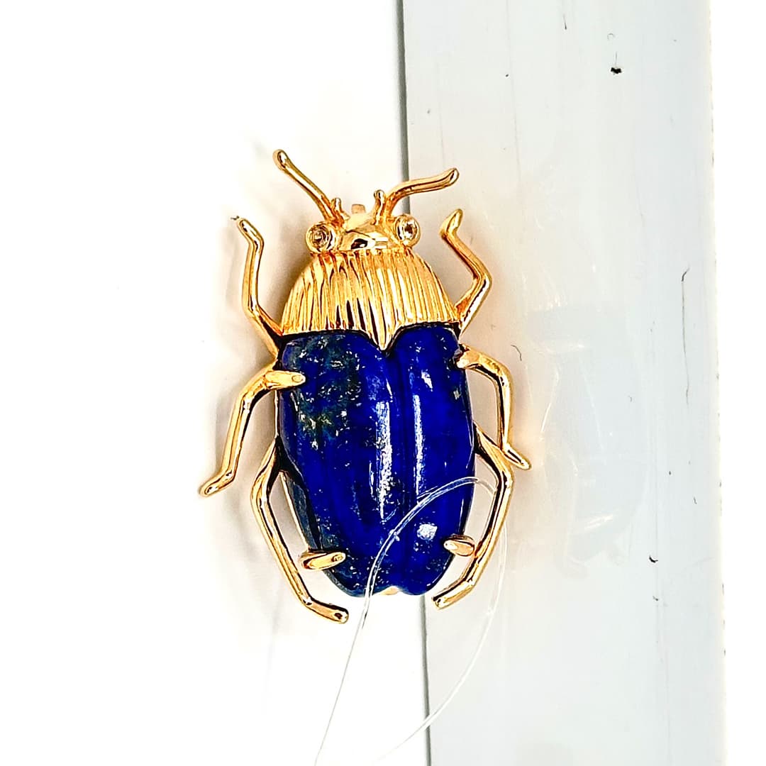 Picture of the author