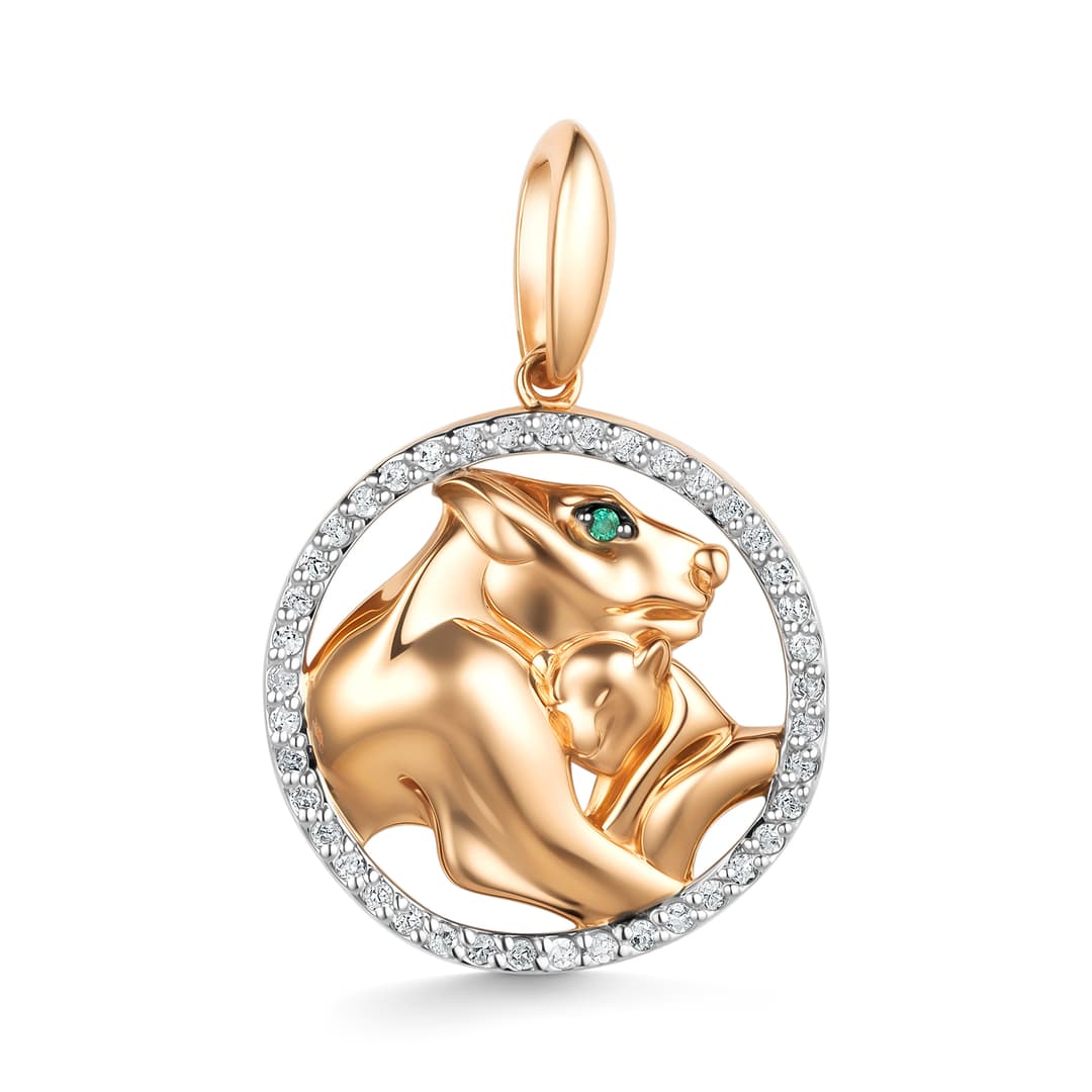 Picture of the author