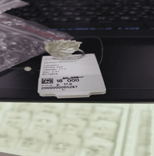 Picture of the author