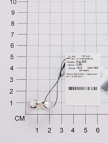 Picture of the author