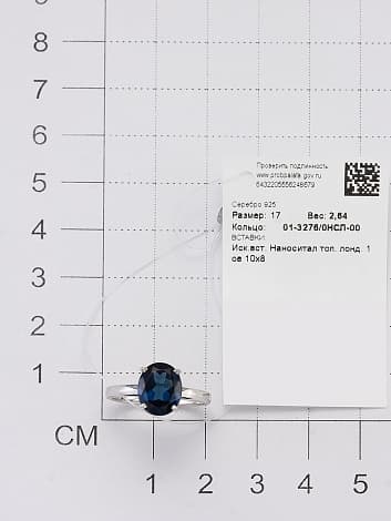 Picture of the author