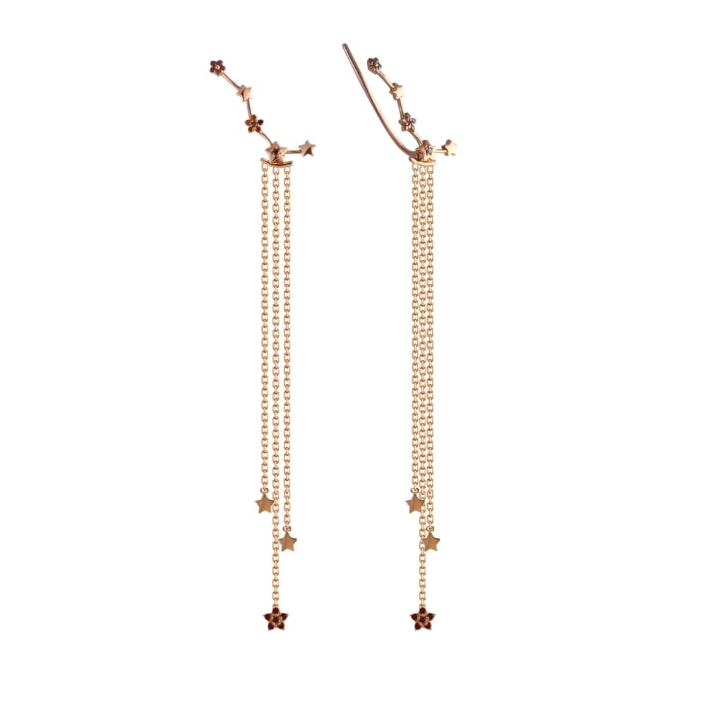 Picture of the author