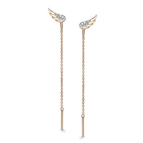 Picture of the author