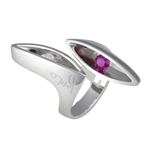 Picture of the author