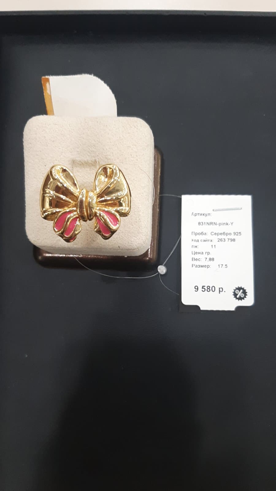 Picture of the author