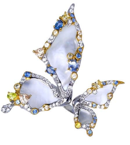 Picture of the author