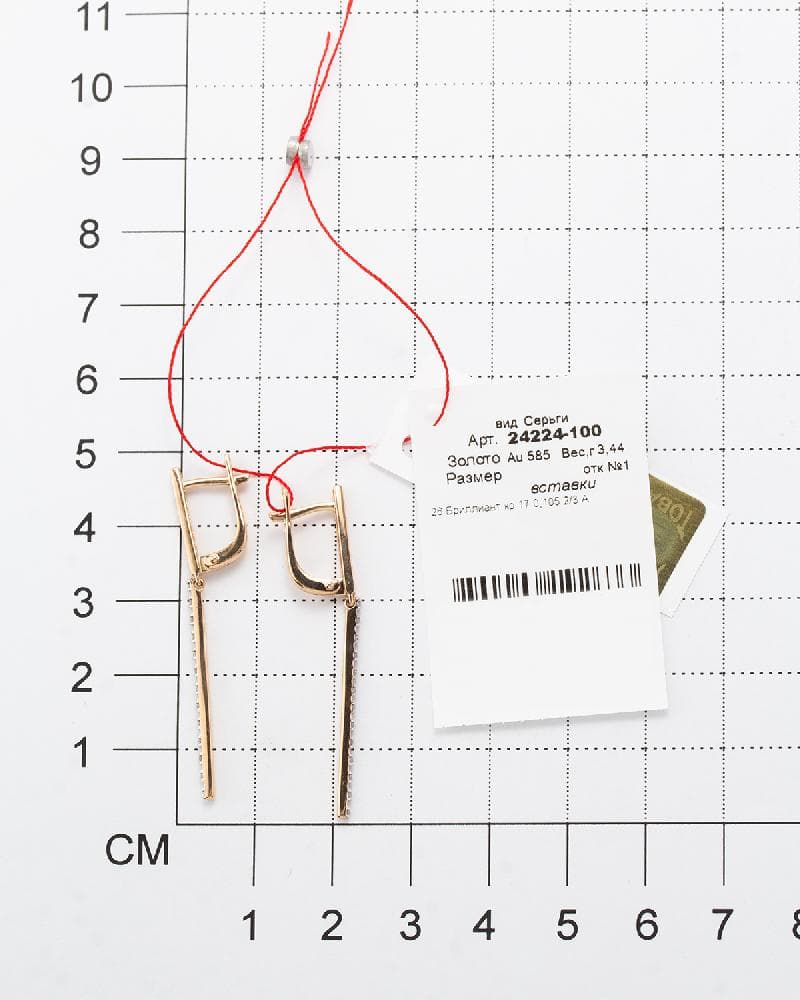 Picture of the author