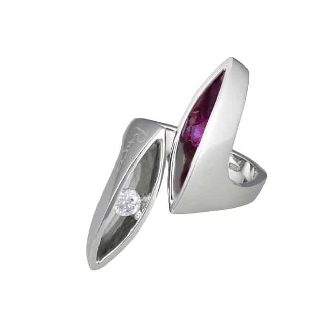 Picture of the author