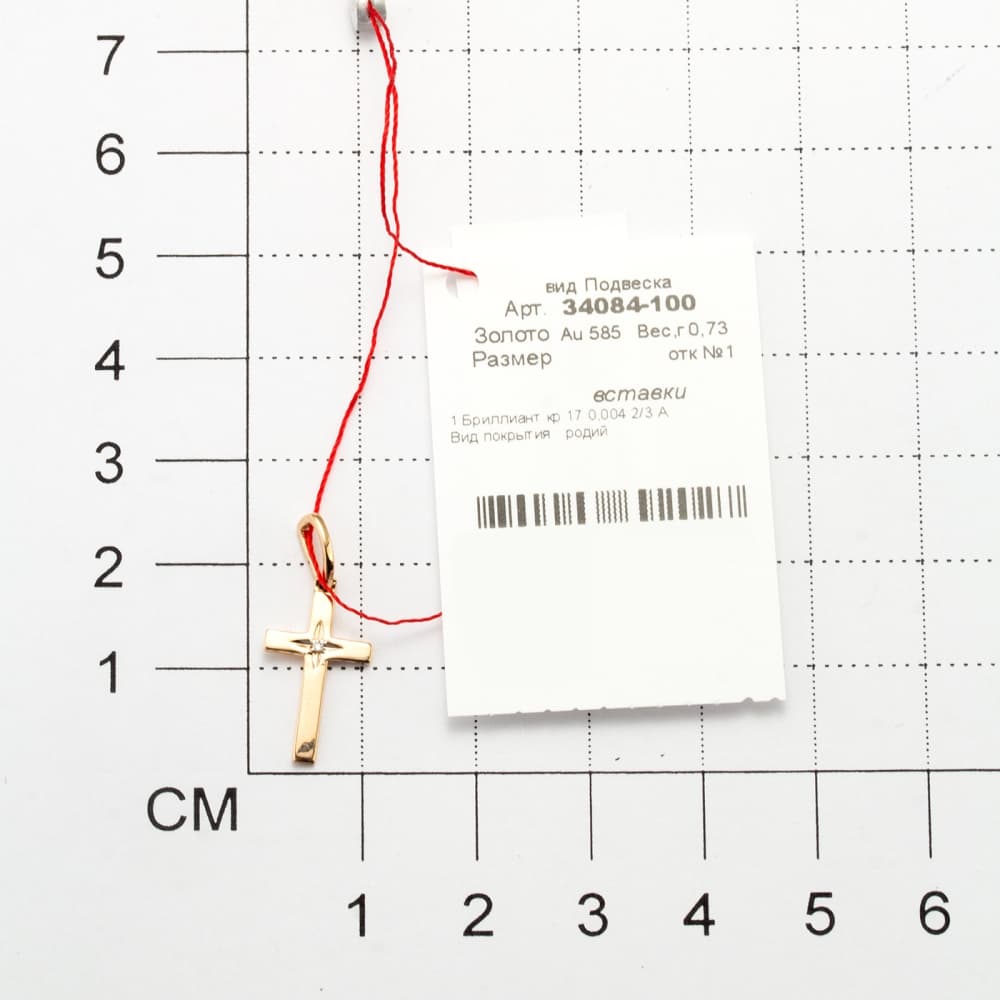 Picture of the author