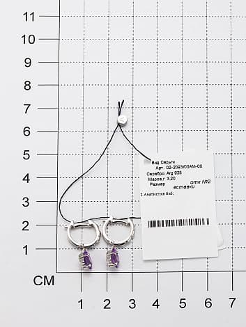 Picture of the author