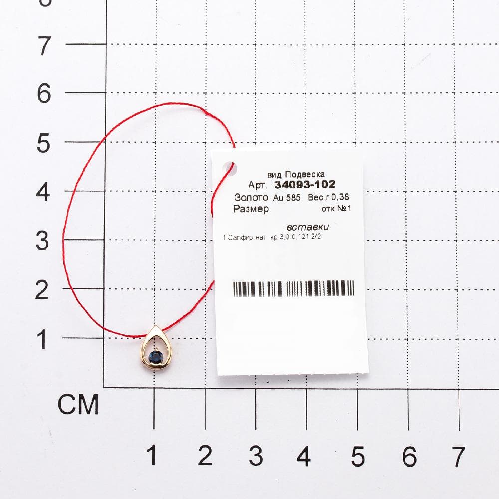 Picture of the author