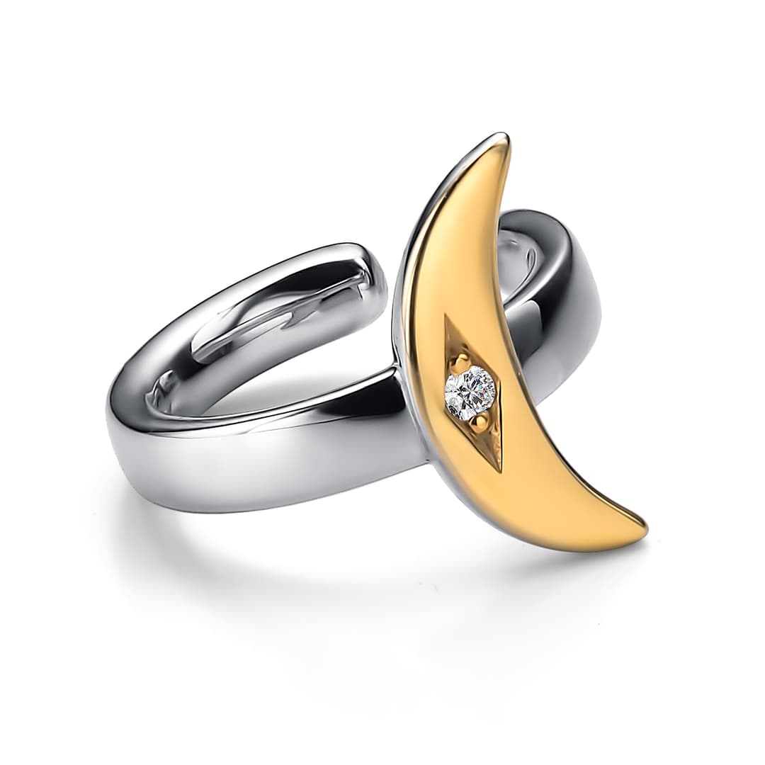 Picture of the author