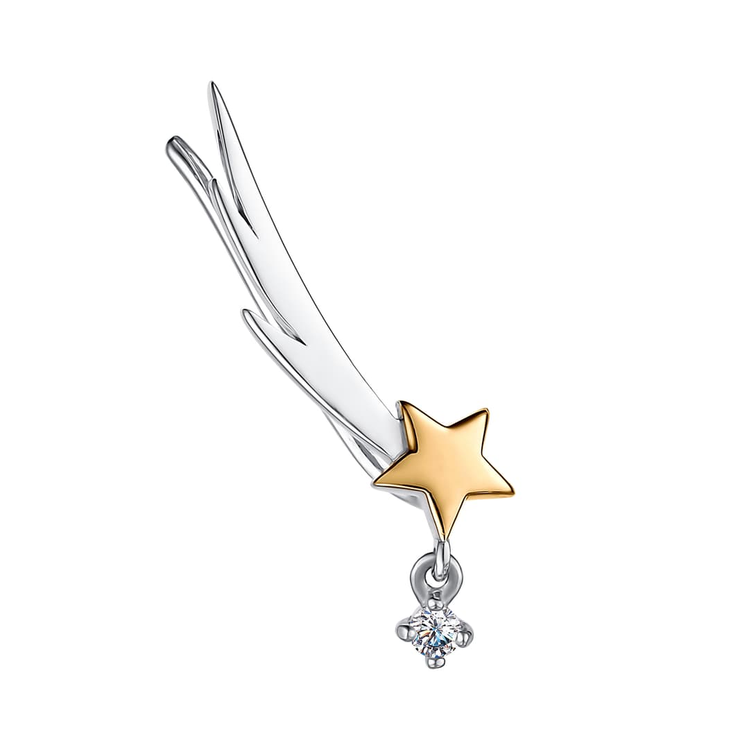 Picture of the author